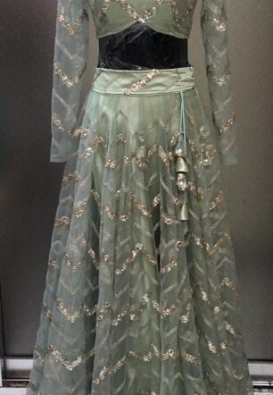Sheer Elegance Lehenga Choli