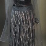 Silver Stardust Lehenga Choli