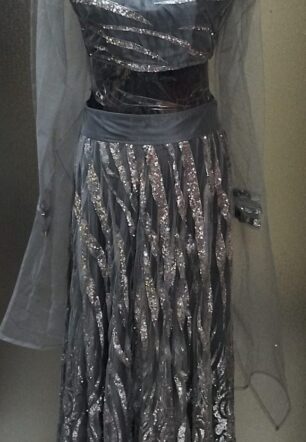 Silver Stardust Lehenga Choli