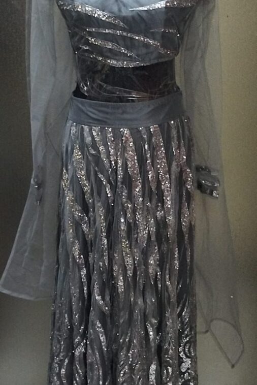 Silver Stardust Lehenga Choli