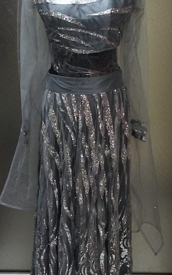 Silver Stardust Lehenga Choli