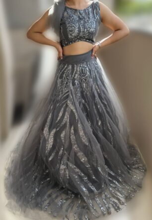 Silver Stardust Lehenga