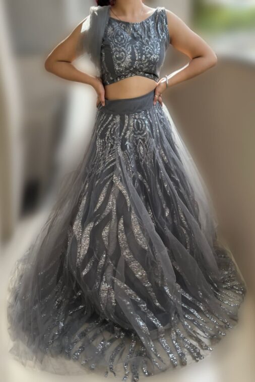 Silver Stardust Lehenga