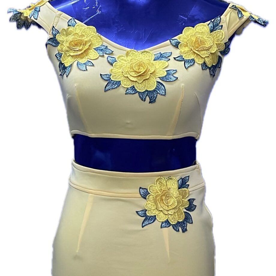 Skin sleeves less with flower patches Two piece short dress