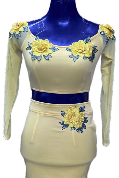 Skin full sleeves with flower patches Two piece short dress