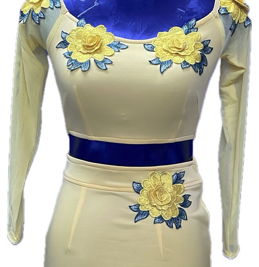 Skin full sleeves with flower patches Two piece short dress