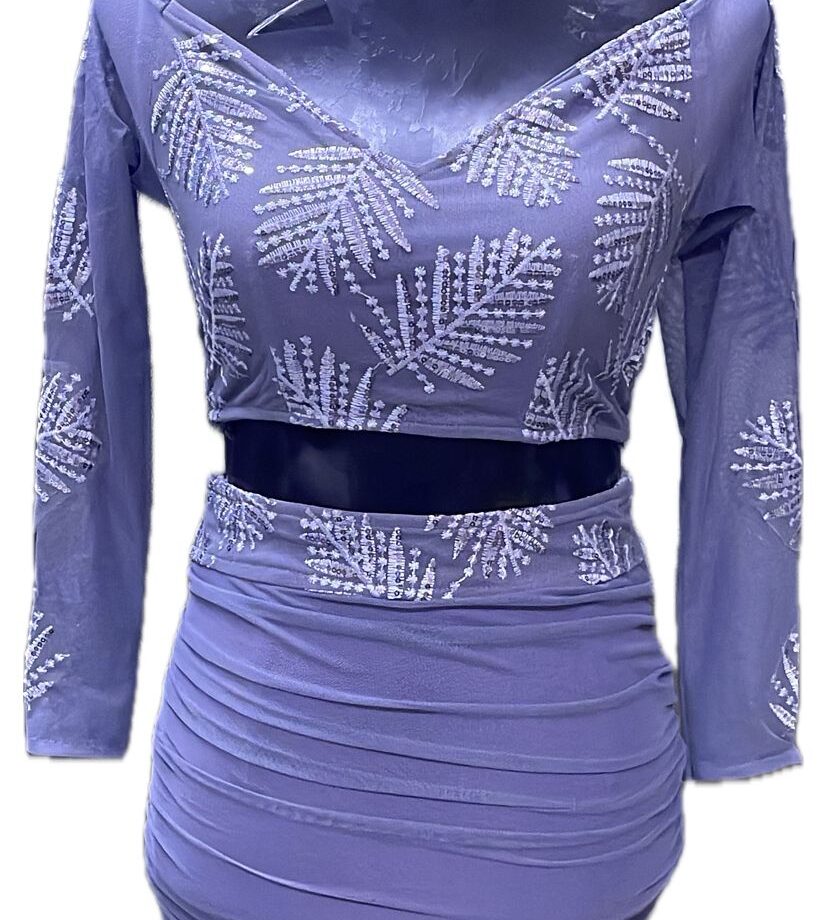 Ash grey Full sleave Two piece short dress