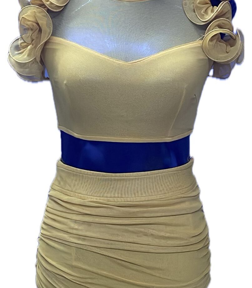 Skin color flower sleave Two piece short dress